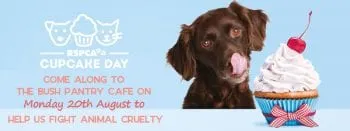 An RSPCA Cupcake Day banner with a chocolate brown spaniel beside a cupcake, inviting people to The Bush Pantry Cafe on Monday 20th August to help fight animal cruelty.