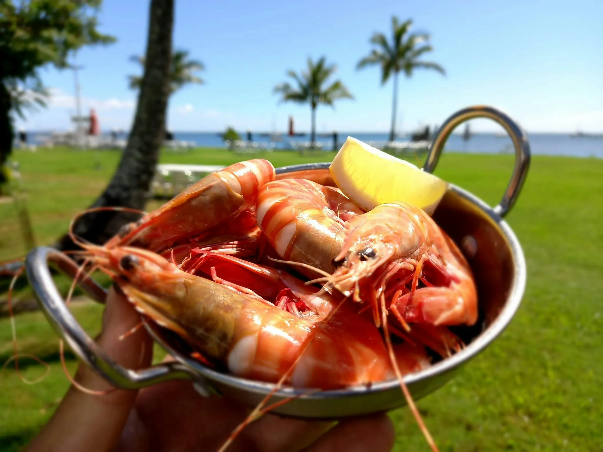 A bowl of fresh prawns being held by someone against a tropical background